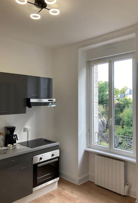 Vue Imprenable Sur Le Moulin Du Chaos ! Apartment Huelgoat Luaran gambar